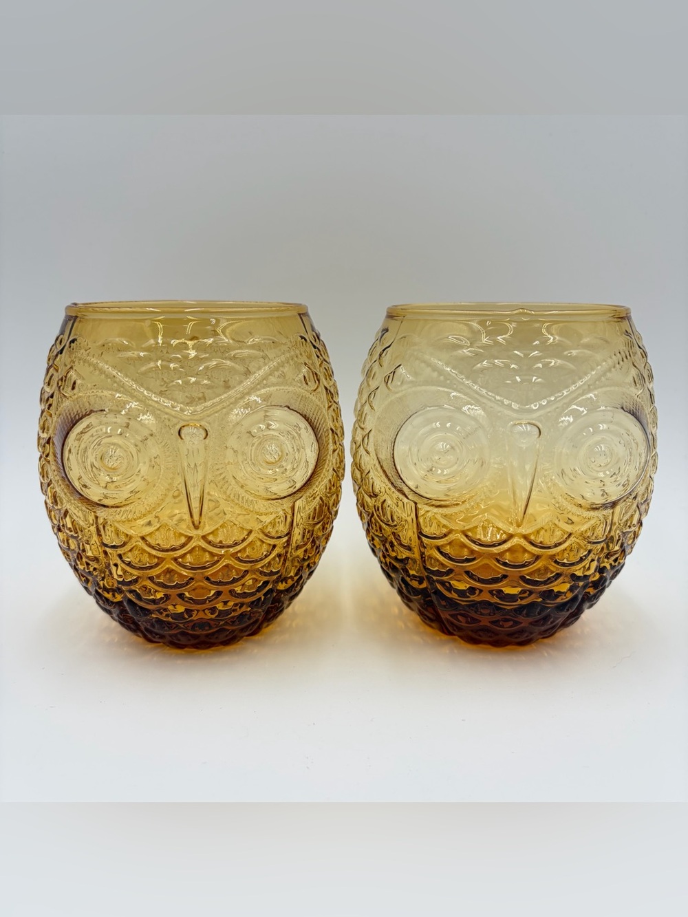 Set of 2 Owl Thin Glass Amber Fall Autumn Cozy Home Decor